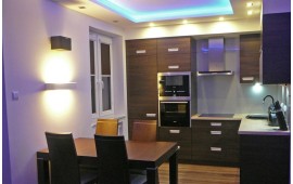 Маленькая кухня венге в гостиной с цветной LED-подсветкой потолка